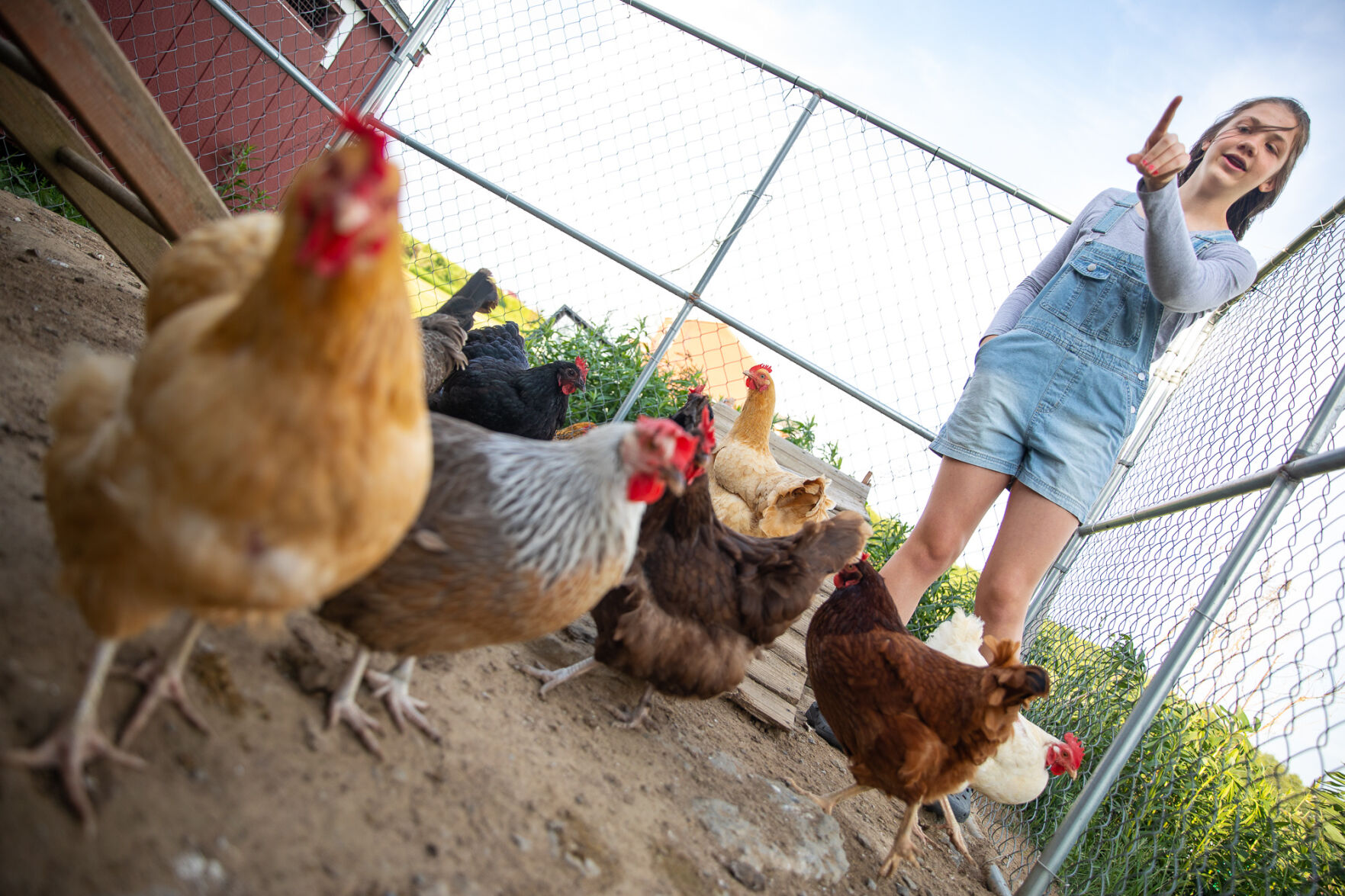 A haven at Hyder Rock Lewis County farm gives new life to horses, other unhomed animals